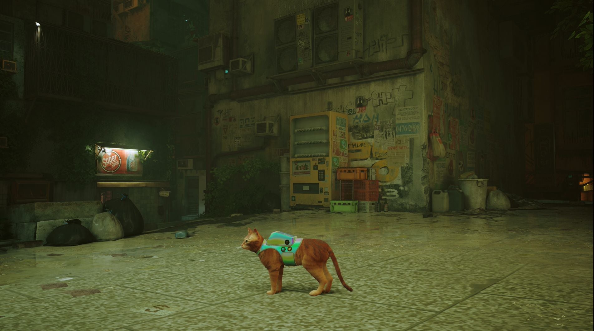 All Stray badge locations - 84