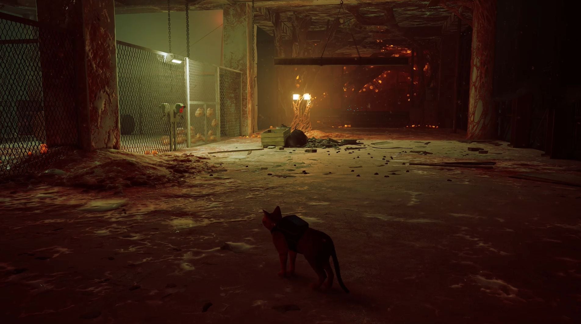 All Stray memories  including every Slums  Sewers and Midtown memory location - 37