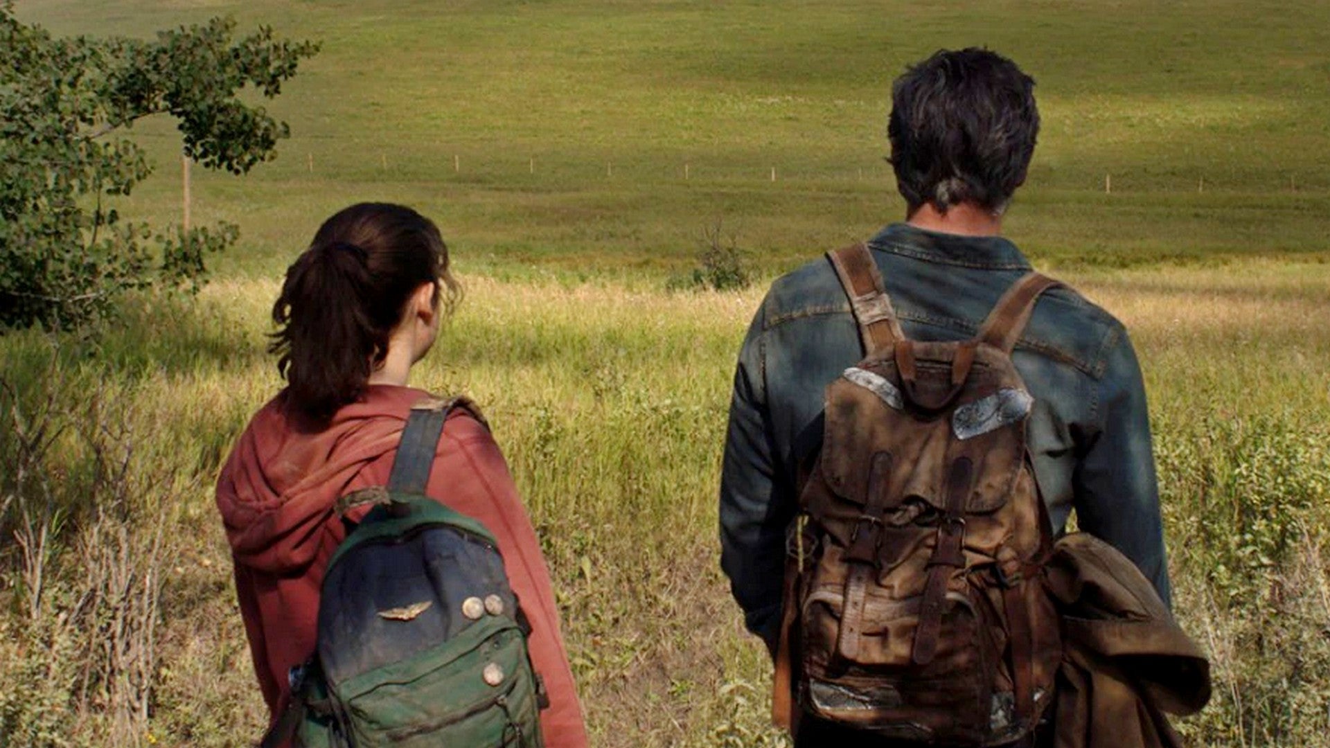 Bilder zu The Last of Us: Regisseur nennt Startzeitraum der Serie
