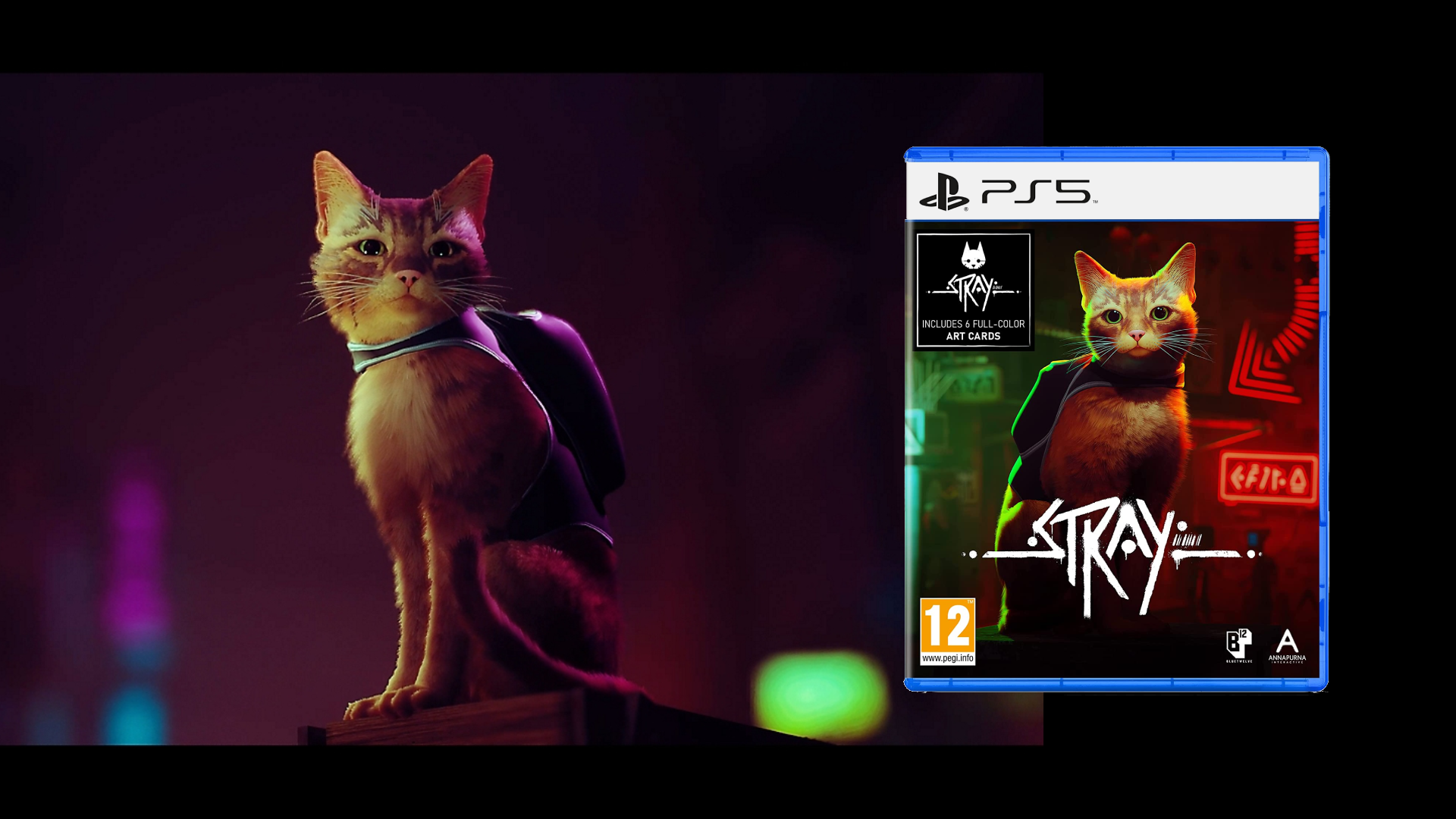 Image for Here's where to buy Stray on PS5, PS4 and Steam