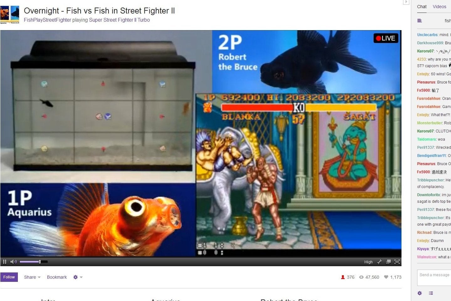 Imagem para Dois peixes estão a jogar Street Fighter 2