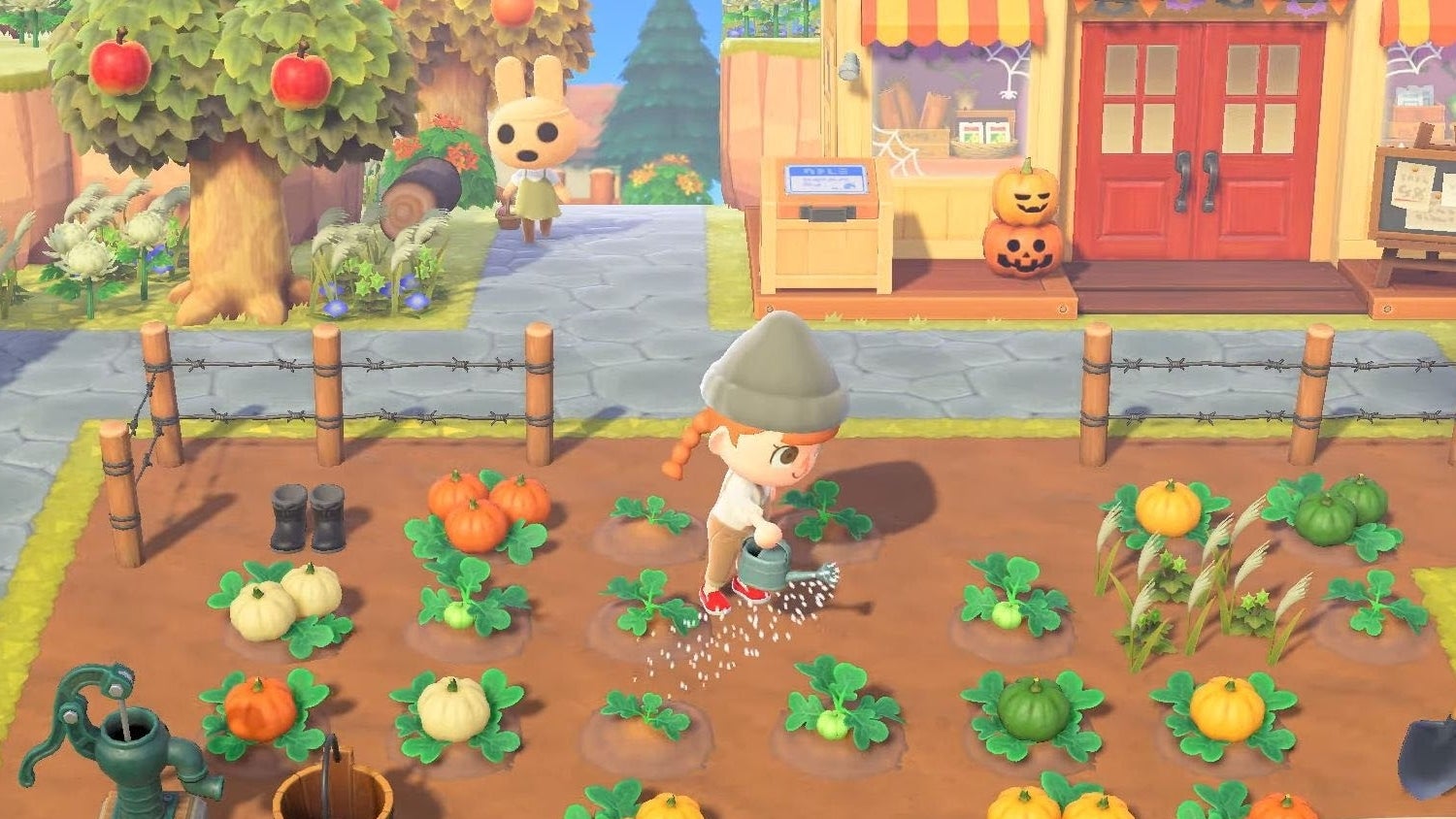 Afbeeldingen van Animal Crossing pompoenen: Hoe verbouw je pompoenen, pompoenkleuren en hoe gebruik je pompoenen in New Horizons uitgelegd
