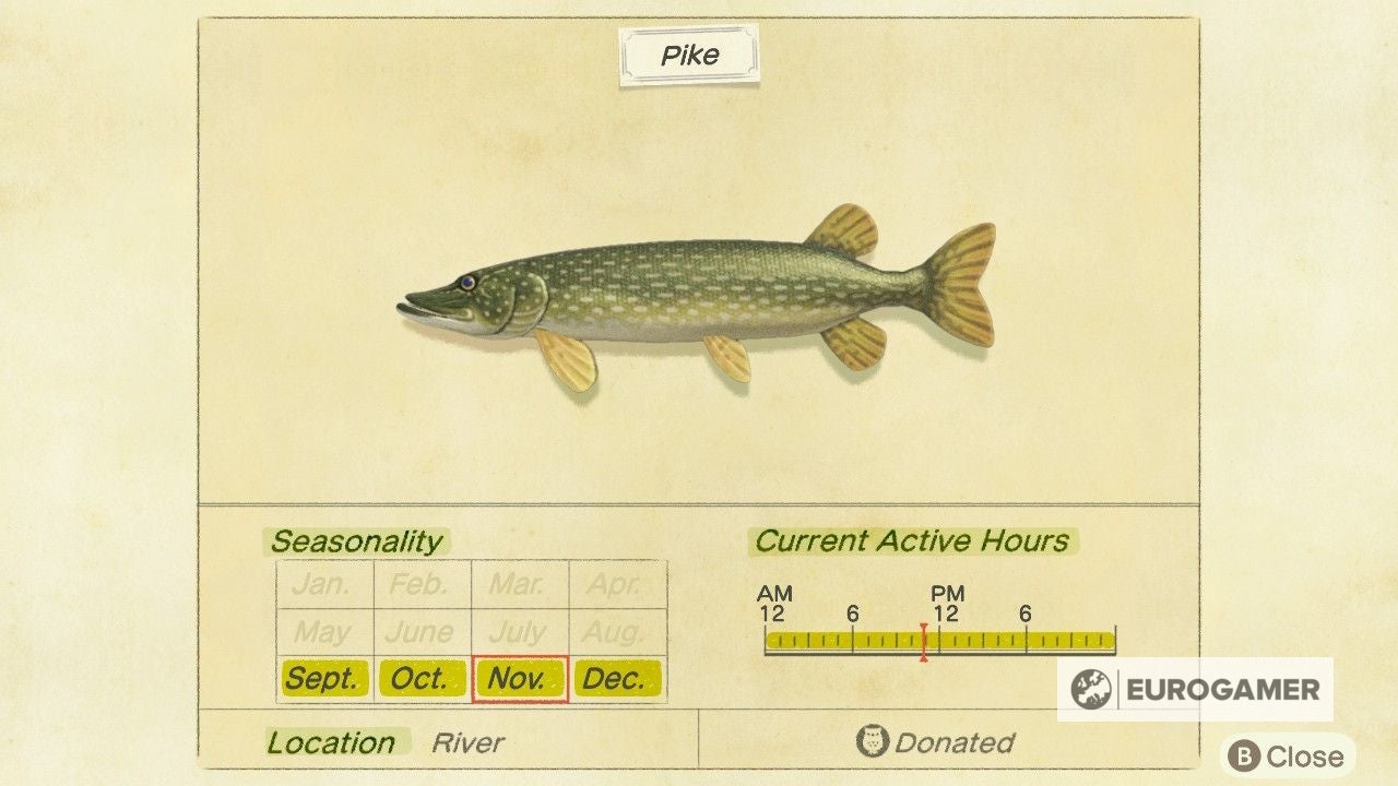 New Bugs and Fish in December  Everything arriving and leaving this month in Animal Crossing  New Horizons - 81