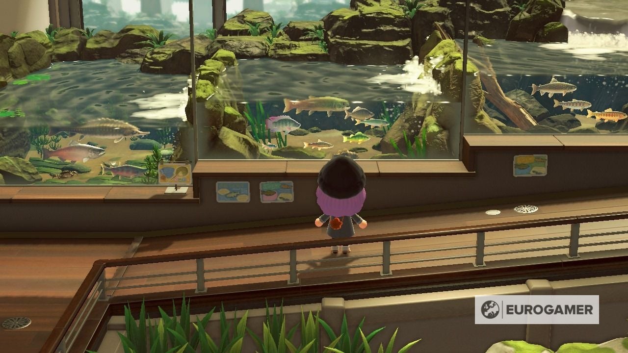 New Bugs and Fish in January  Everything arriving and leaving this month in Animal Crossing  New Horizons - 69