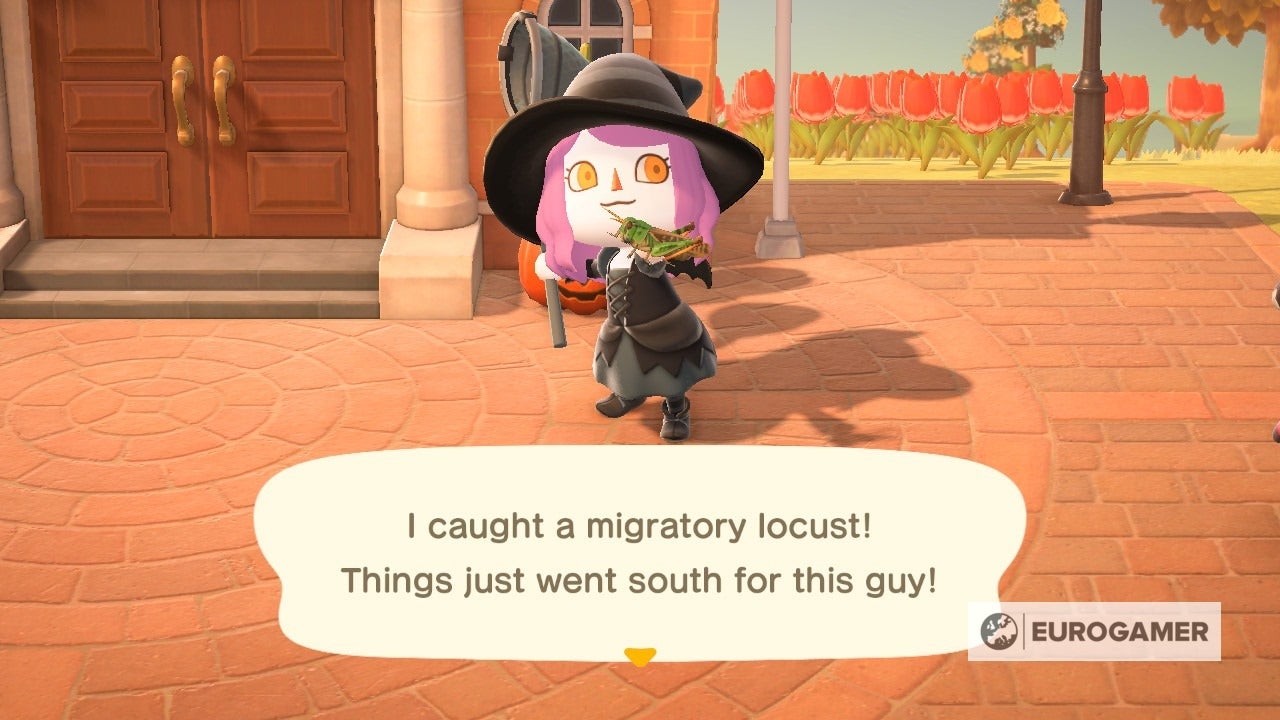 New Bugs and Fish in November  Everything arriving and leaving this month in Animal Crossing  New Horizons - 82