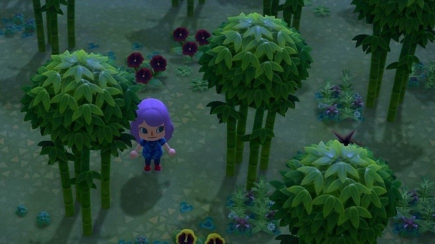 Animal Crossing Bamboo: How to get Bamboo Pieces, Bamboo Shoots and Young  Spring Bamboo in New Horizons | Eurogamer.net