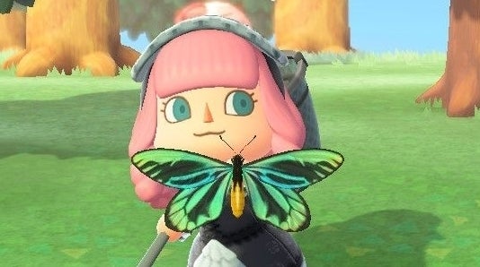 Animal Crossing BugOff prize list, how points and trophy rewards work