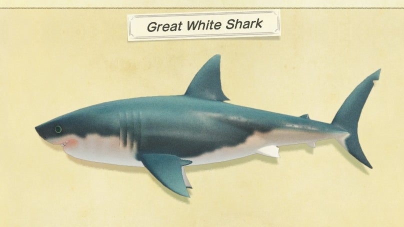 Animal Crossing Sharks: How to catch a Saw Shark, Hammerhead Shark, Great  White Shark, Whale Shark and a Suckerfish in New Horizons 