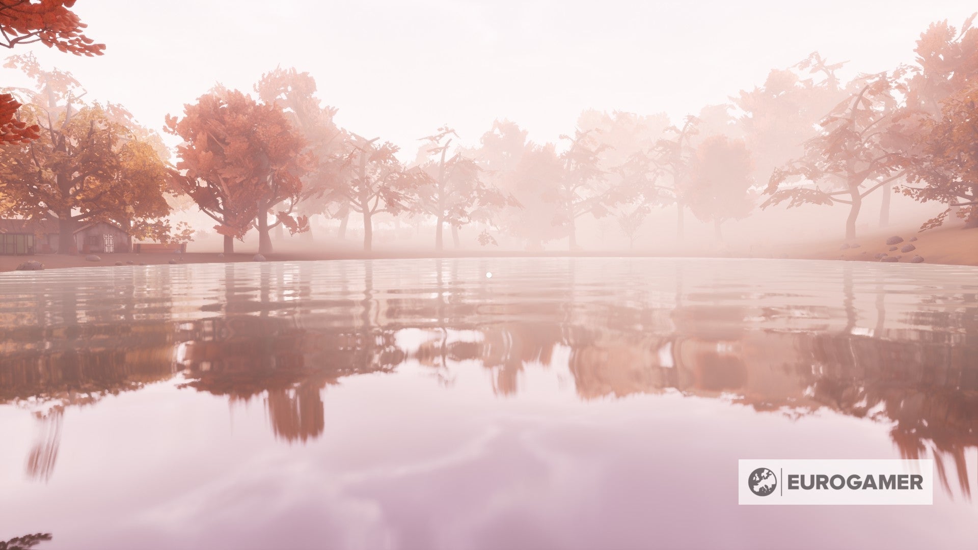 Adios is a small  quiet  90 minute narrative with a knack for storytelling texture - 47