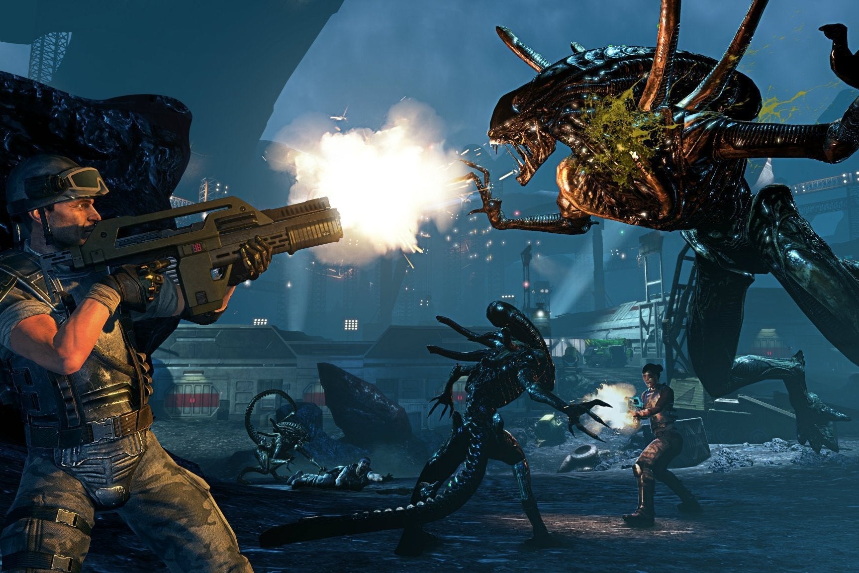 Image for Aliens: Colonial Marines and AvP (2010) have vanished from Steam