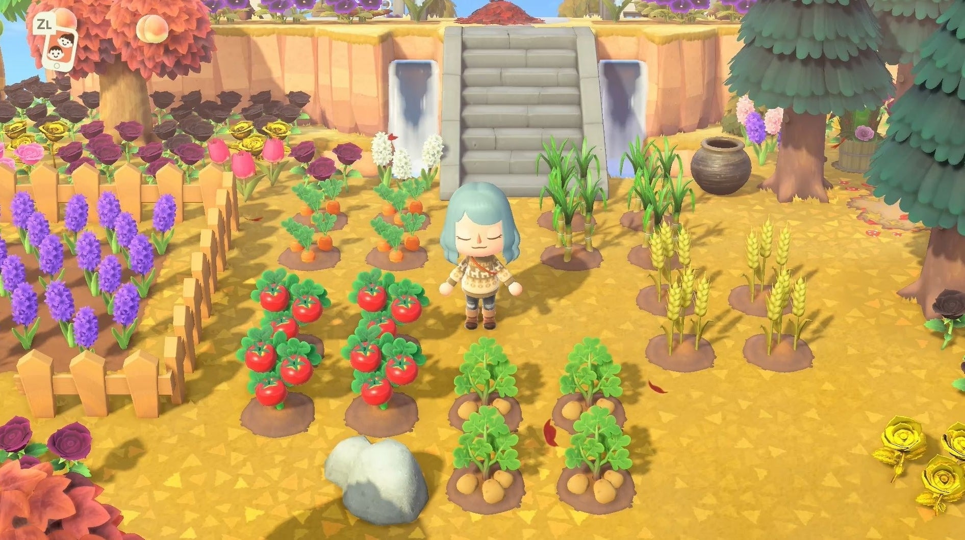 Imagen para Tomates, patatas y zanahorias en Animal Crossing: dónde y cómo comprarlas, cómo cultivarlas en New Horizons