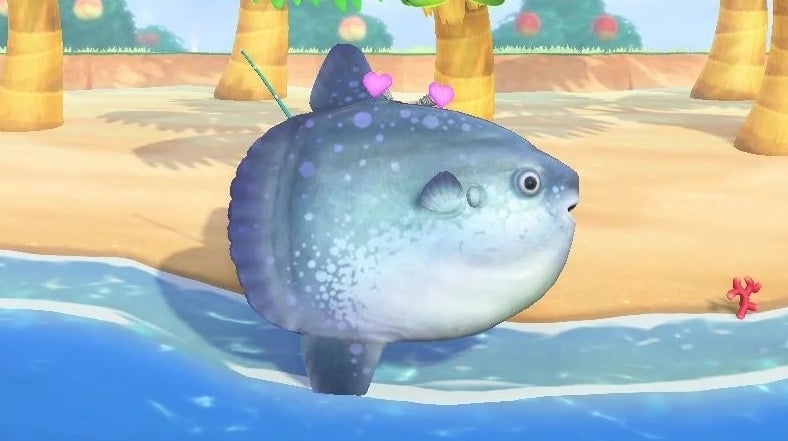 Afbeeldingen van Animal Crossing New Horizons klompvis: Hoe klompvis vangen uitgelegd