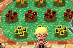 Image for Animal Crossing: Pocket Camp adds gardening, clothes crafting next week