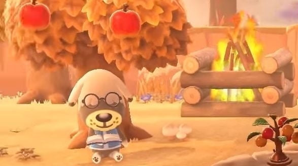 Animal Crossing seasons, northern and southern hemispheres in New Horizons  explained 