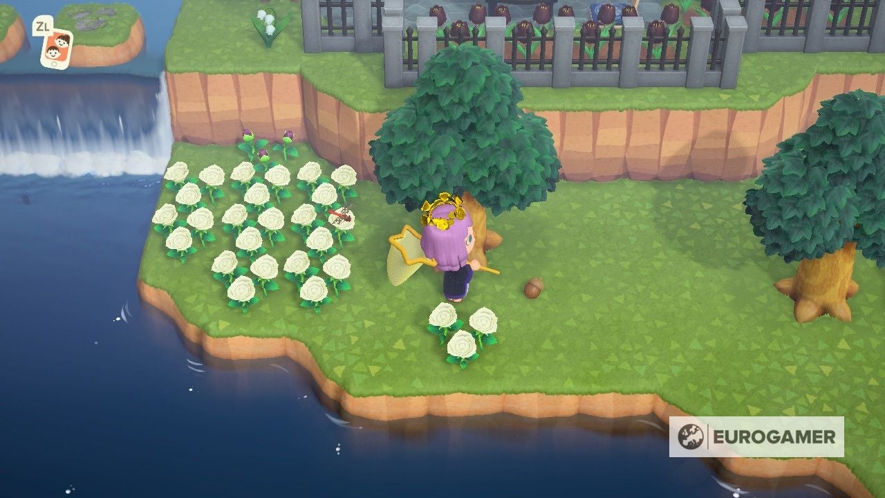 ACNH September Update 2022 - Events, Items, DIY Recipes & Critters In  Animal Crossing Fall Update