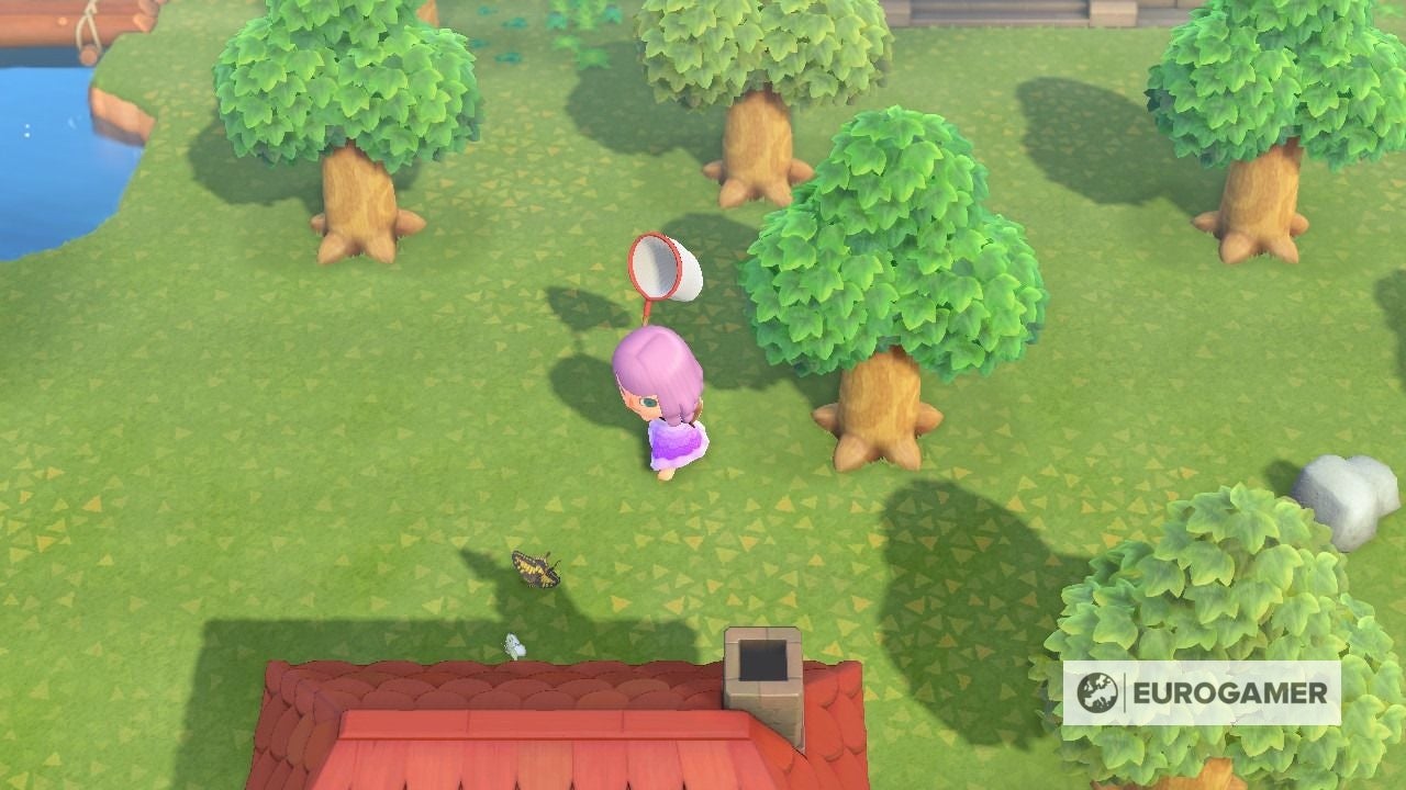 Animal Crossing Bugs list: All bug prices, locations, and how to catch rare  bugs explained | Eurogamer.net