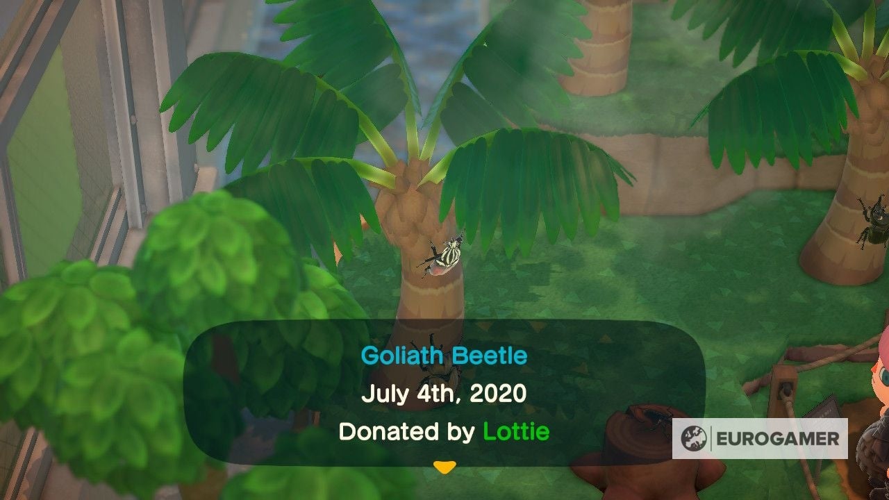 New Fish and Bugs in June  Everything arriving and leaving this month in Animal Crossing New Horizons - 71