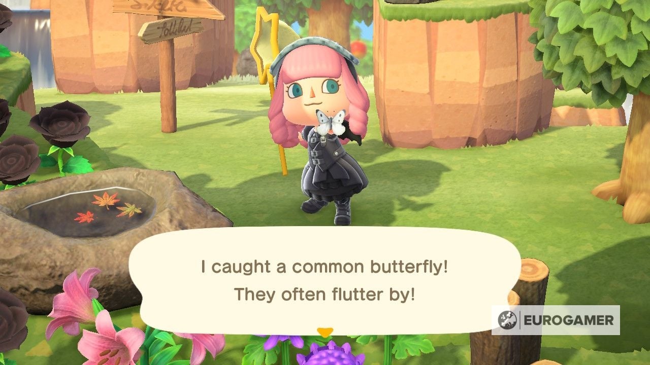 New Fish and Bugs in June  Everything arriving and leaving this month in Animal Crossing New Horizons - 22