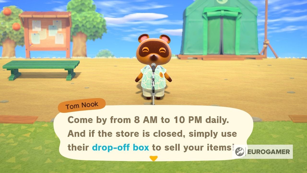 Animal Crossing day reset time and daily activities checklist in New  Horizons | Eurogamer.net