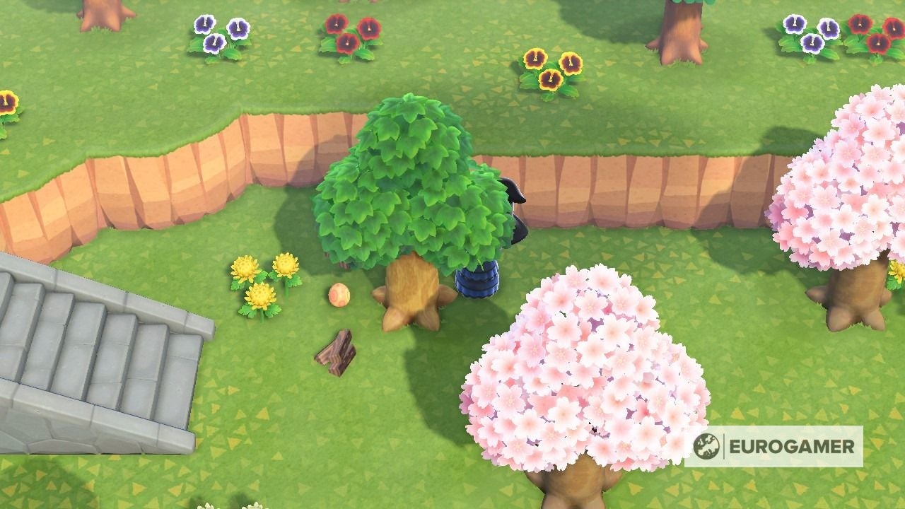 Animal Crossing Egg locations  How to get an Earth egg  Leaf egg  Sky egg  Stone egg  Water egg and Wood egg in New Horizons explained - 2