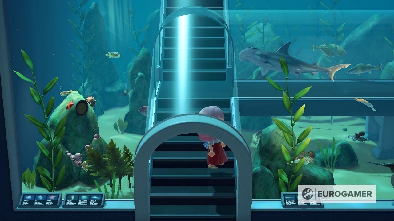 New Bugs and Fish in February  Everything arriving and leaving this month in Animal Crossing  New Horizons - 49