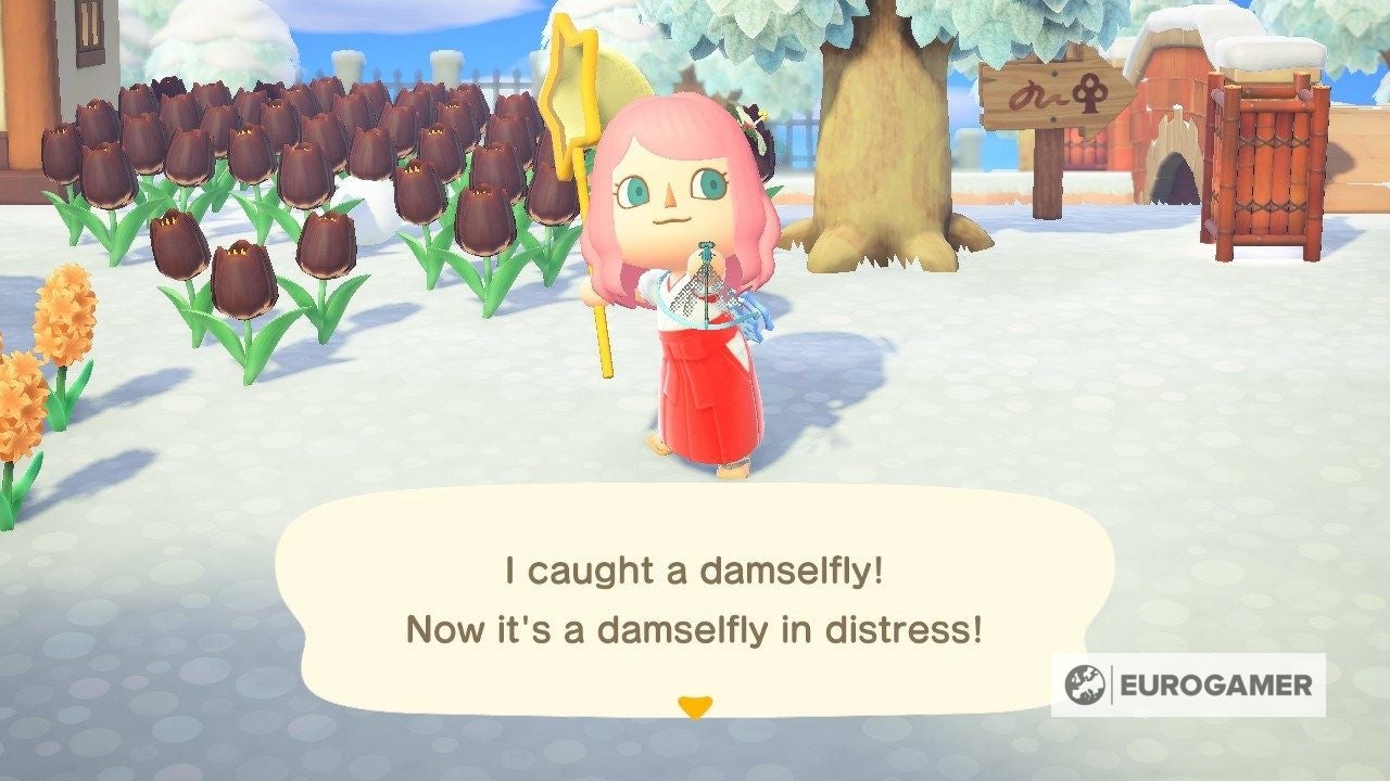 New Bugs and Fish in February  Everything arriving and leaving this month in Animal Crossing  New Horizons - 97