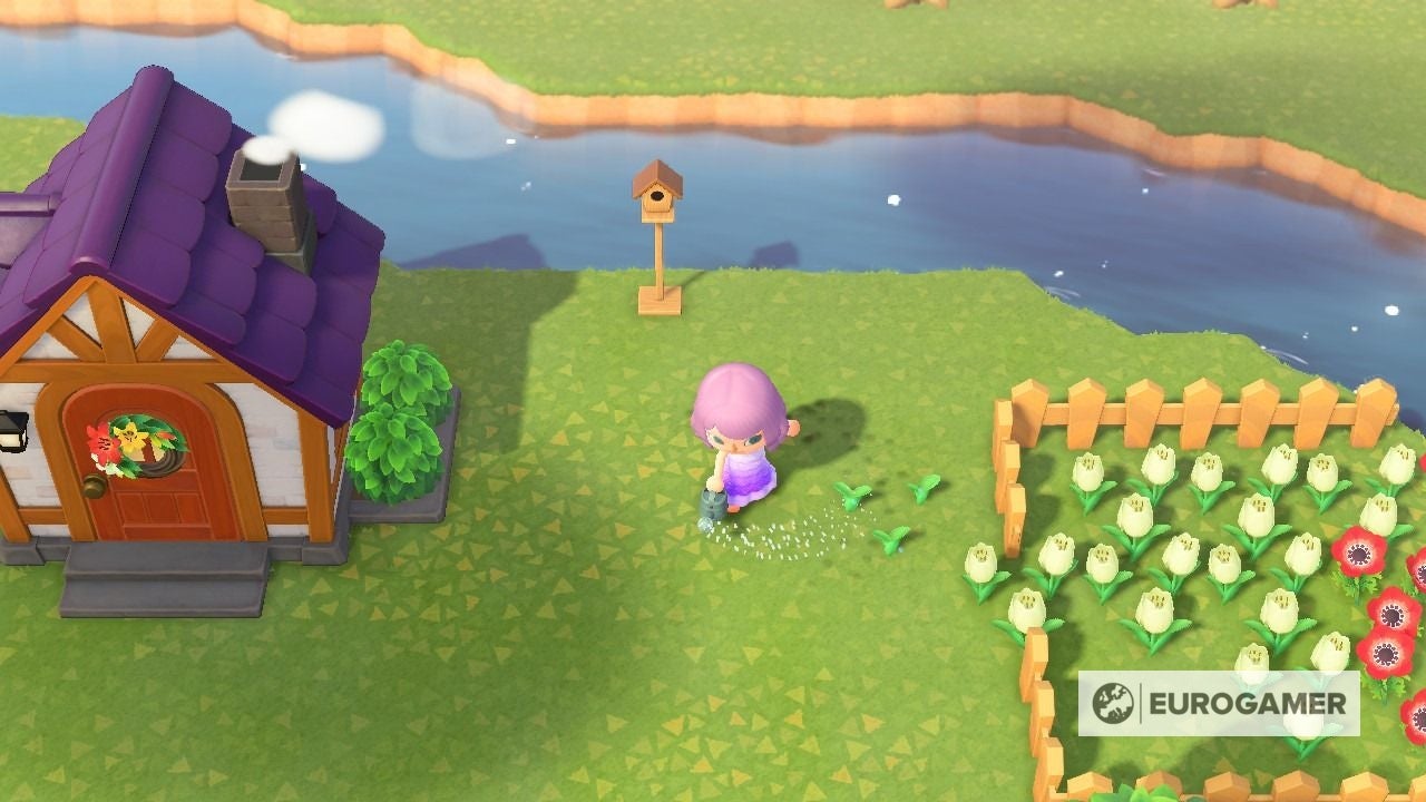 Animal Crossing: Flores - híbridas, combinaciones de colores y todo lo que hay que saber en New Horizons Animal Crossing: Flores - híbridas, combinaciones de colores y todo lo que hay que saber en New Horizons