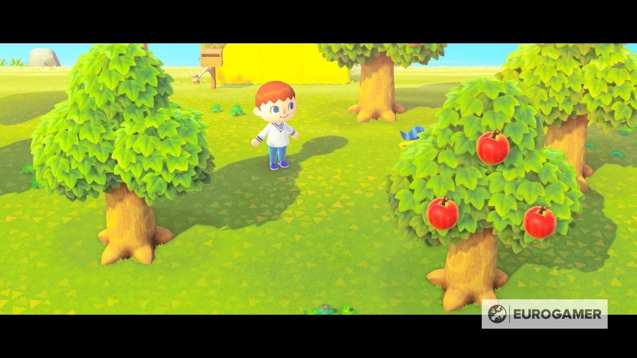 Animal Crossing: fruta - cuánto tarda en crecer, qué pasa al comerla y cómo  plantar árboles frutales en New Horizons | Eurogamer.es