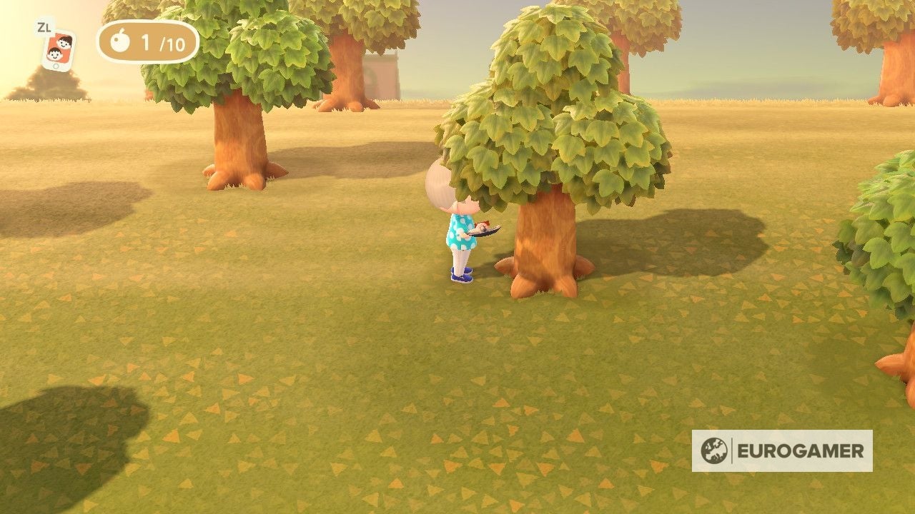 Animal Crossing: fruta - cuánto tarda en crecer, qué pasa al comerla y cómo  plantar árboles frutales en New Horizons | Eurogamer.es