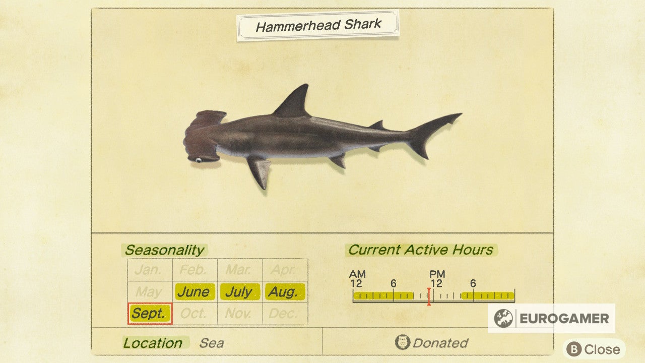 Animal Crossing Sharks: How to catch a Saw Shark, Hammerhead Shark, Great  White Shark, Whale Shark and a Suckerfish in New Horizons 
