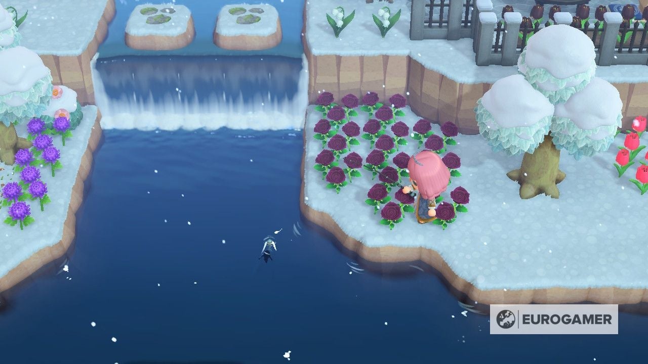New Bugs and Fish in March  Everything arriving and leaving this month in Animal Crossing  New Horizons - 99