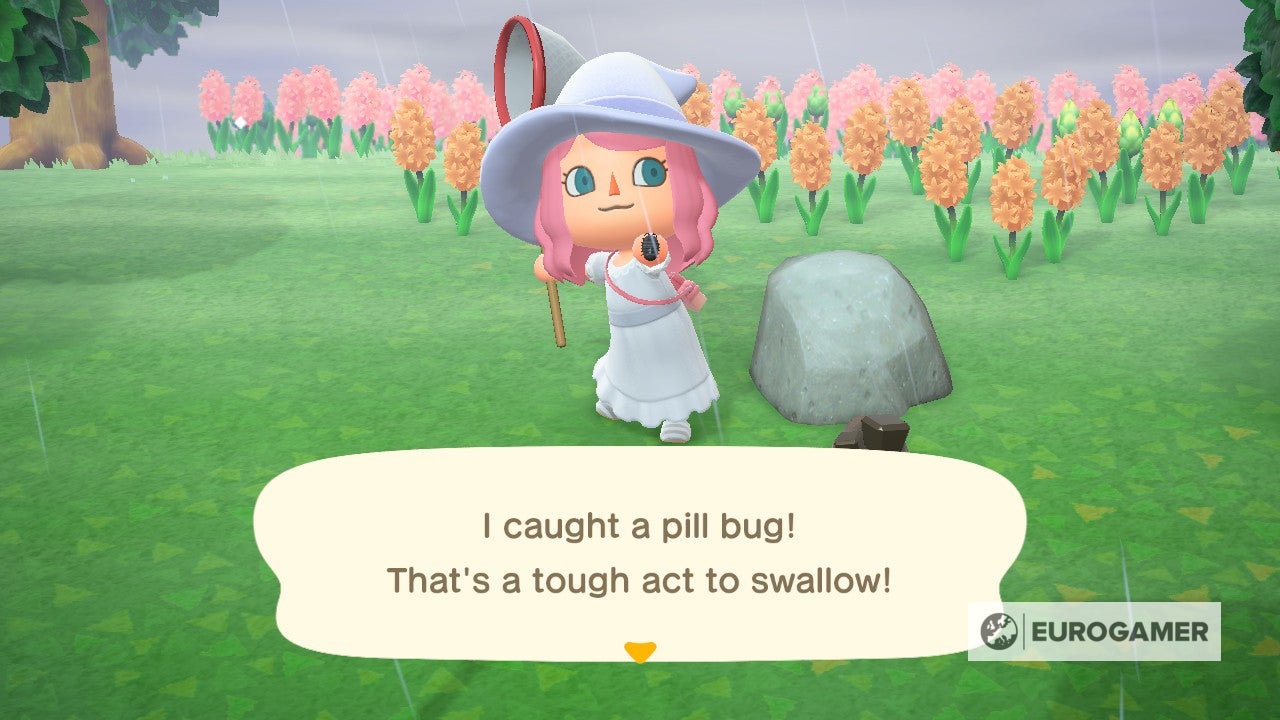 New Fish and Bugs in June  Everything arriving and leaving this month in Animal Crossing New Horizons - 67