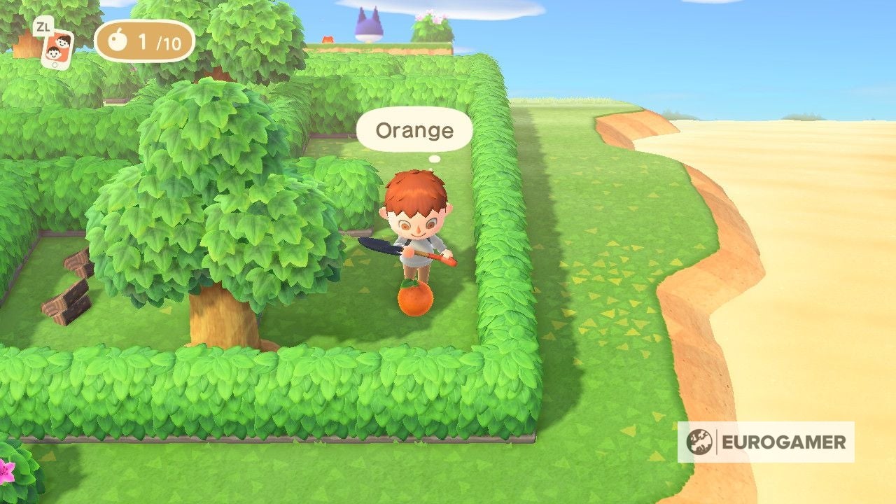 Animal Crossing May Day maze 2022  How to complete the May Day tour and restart the maze explained - 4