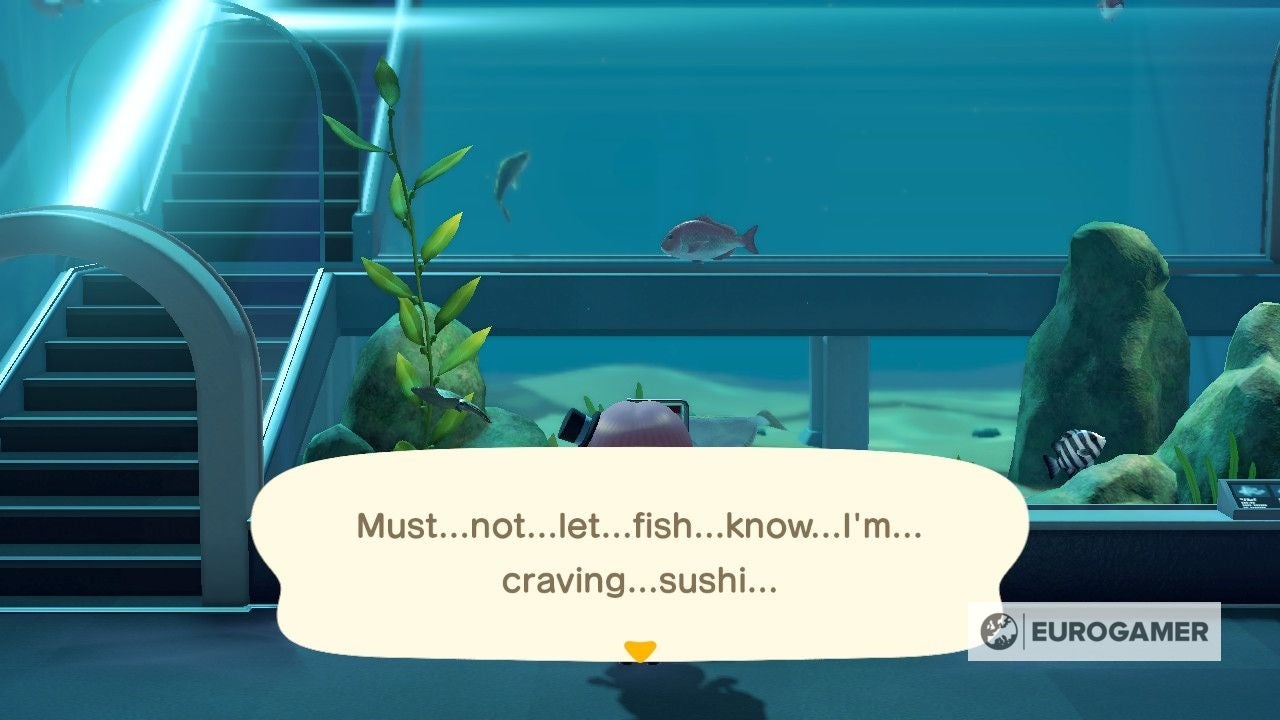 Animal Crossing International Museum Day 2021  Stamp rally and plaque rewards in New Horizons explained - 62