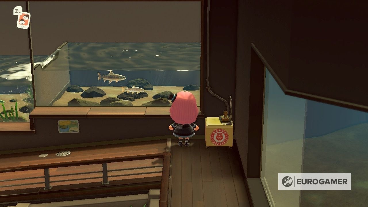 Animal Crossing International Museum Day 2021  Stamp rally and plaque rewards in New Horizons explained - 7