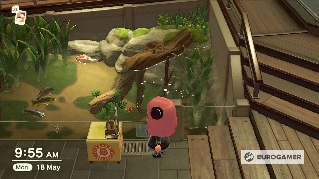 Animal Crossing International Museum Day 2021  Stamp rally and plaque rewards in New Horizons explained - 64