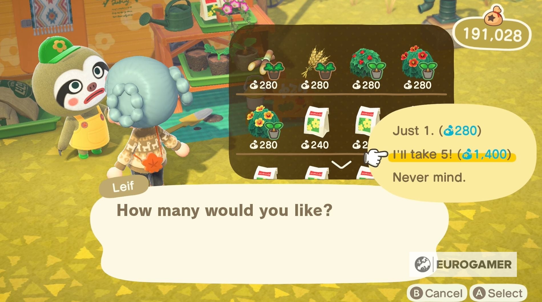 Animal Crossing Sugar  How to grow sugarcane and find sugar in New Horizons - 14