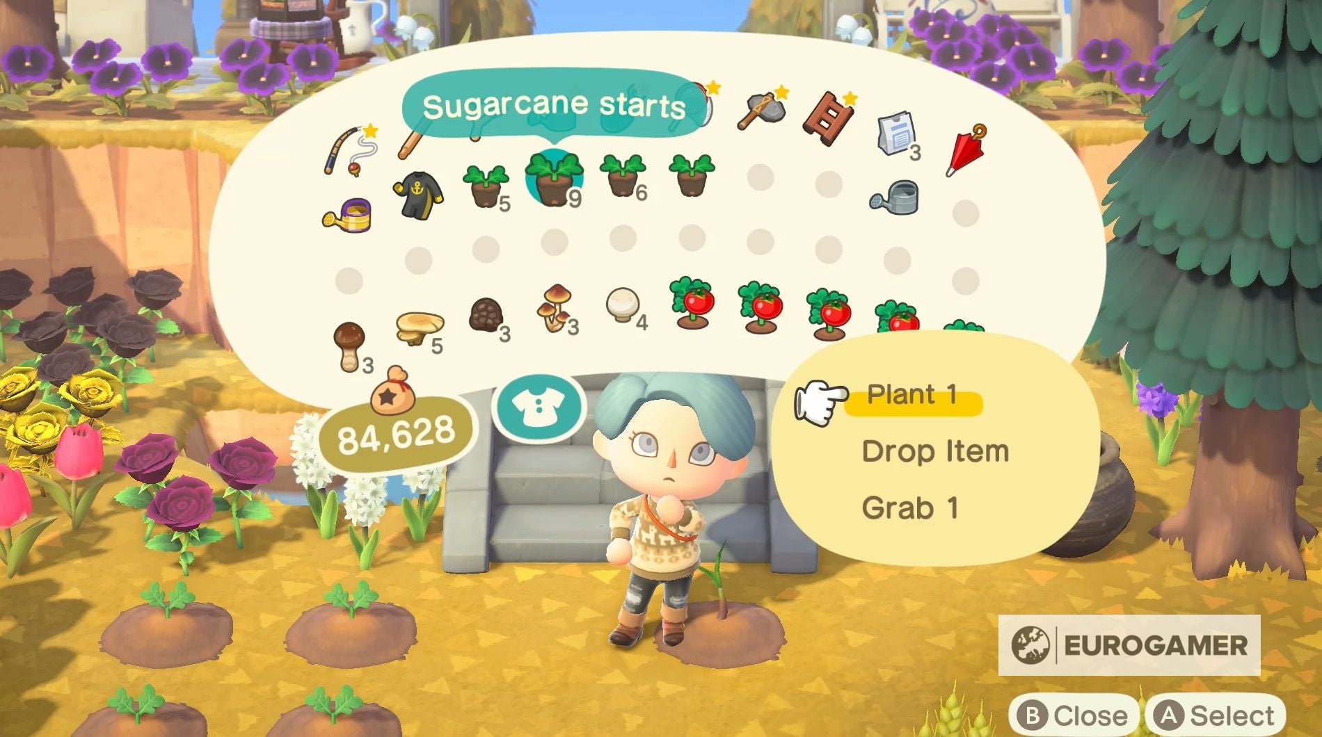 Animal Crossing Sugar  How to grow sugarcane and find sugar in New Horizons - 89