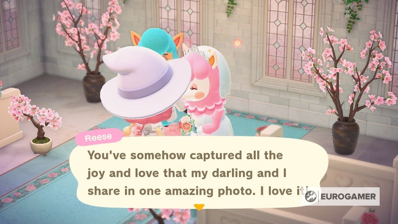 Animal Crossing Wedding Season 2021  Heart crystals  wedding event items and the return of Reese and Cyrus explained - 73
