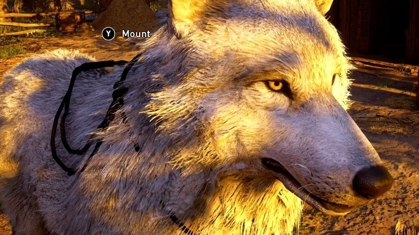 Immagine di Assassin's Creed Valhalla - Guida alle cavalcature e come ottenere il Lupo Hati