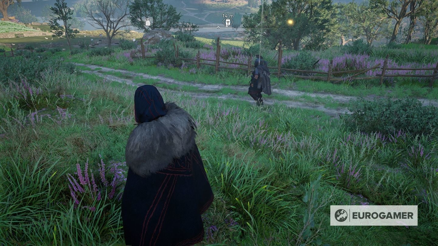 Assassin s Creed Valhalla   Order of the Ancients locations  Where to find Zealot and Warden Order member locations - 35