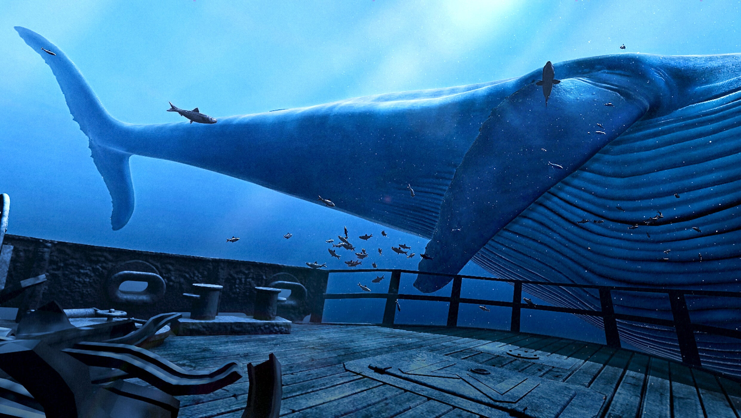 The tail-end of a huge blue whale, as seen from the wreckage of a ship underwater. It's a VR demo.