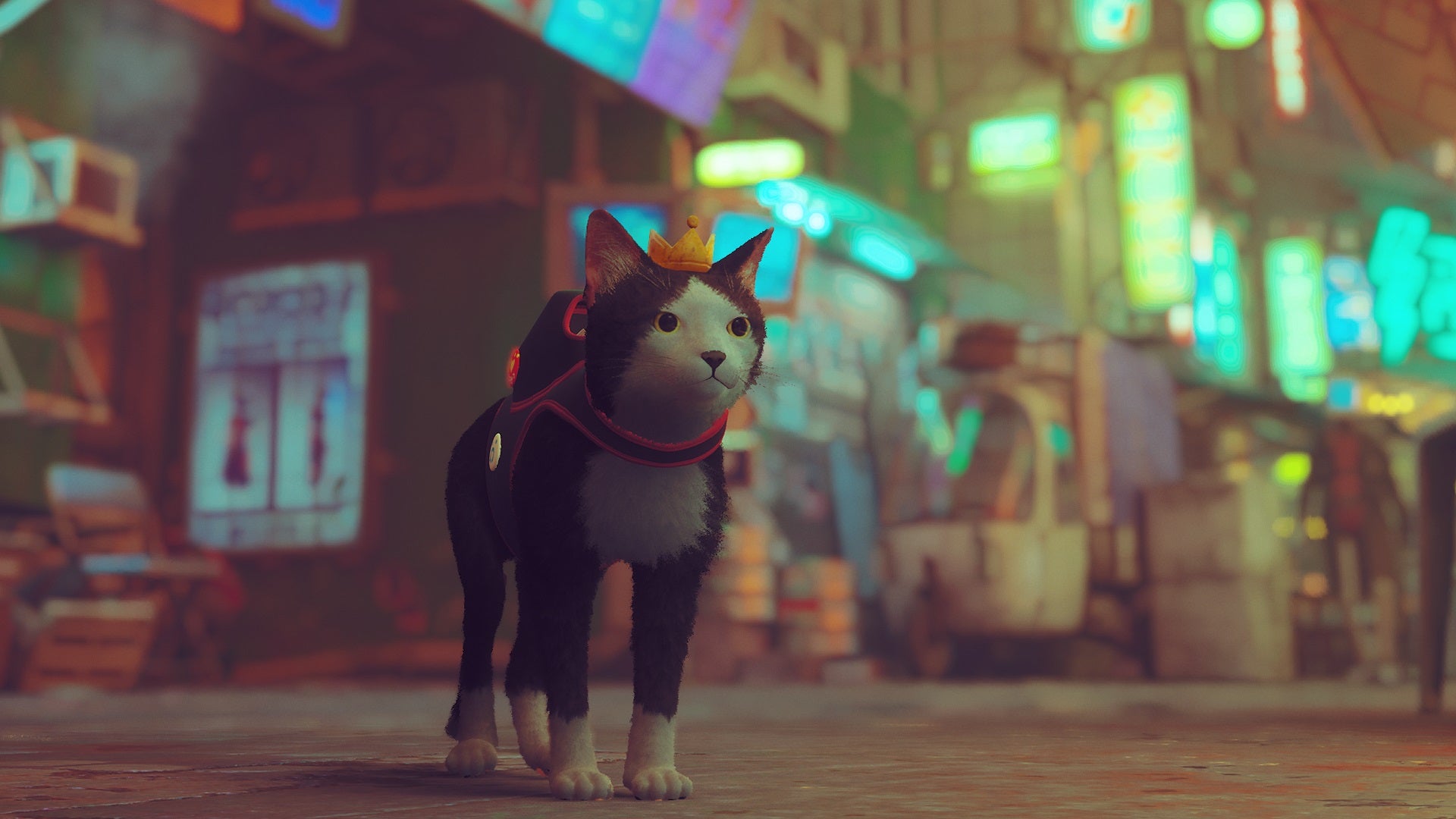 More Stray mods for you to paw over - Vimarsana News