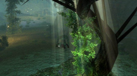 Immagine di Nuove immagini per Dungeons and Dragons Online: Menace of the Underdark