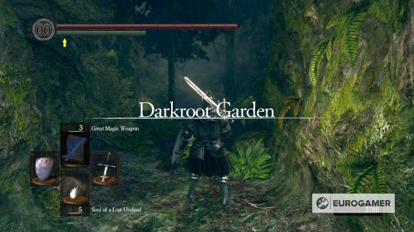 Darkroot Garden - Souls Lore