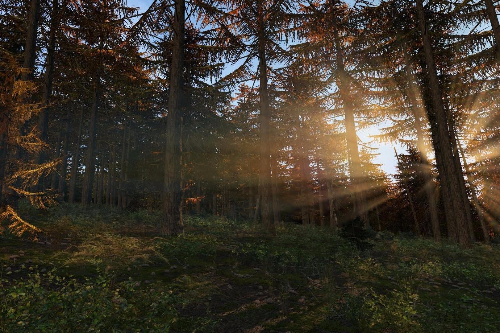 Image for DayZ just got its most meaningful update in months
