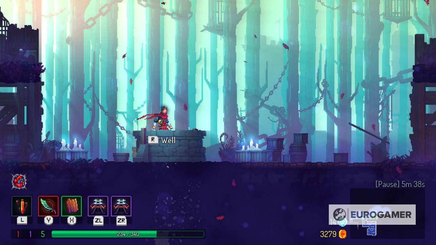 Nine tips to get you started in Dead Cells - 99