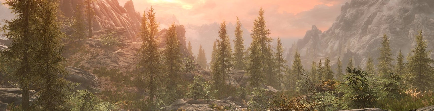 Image for Skyrim on Xbox One X gets the job done - but we expected more