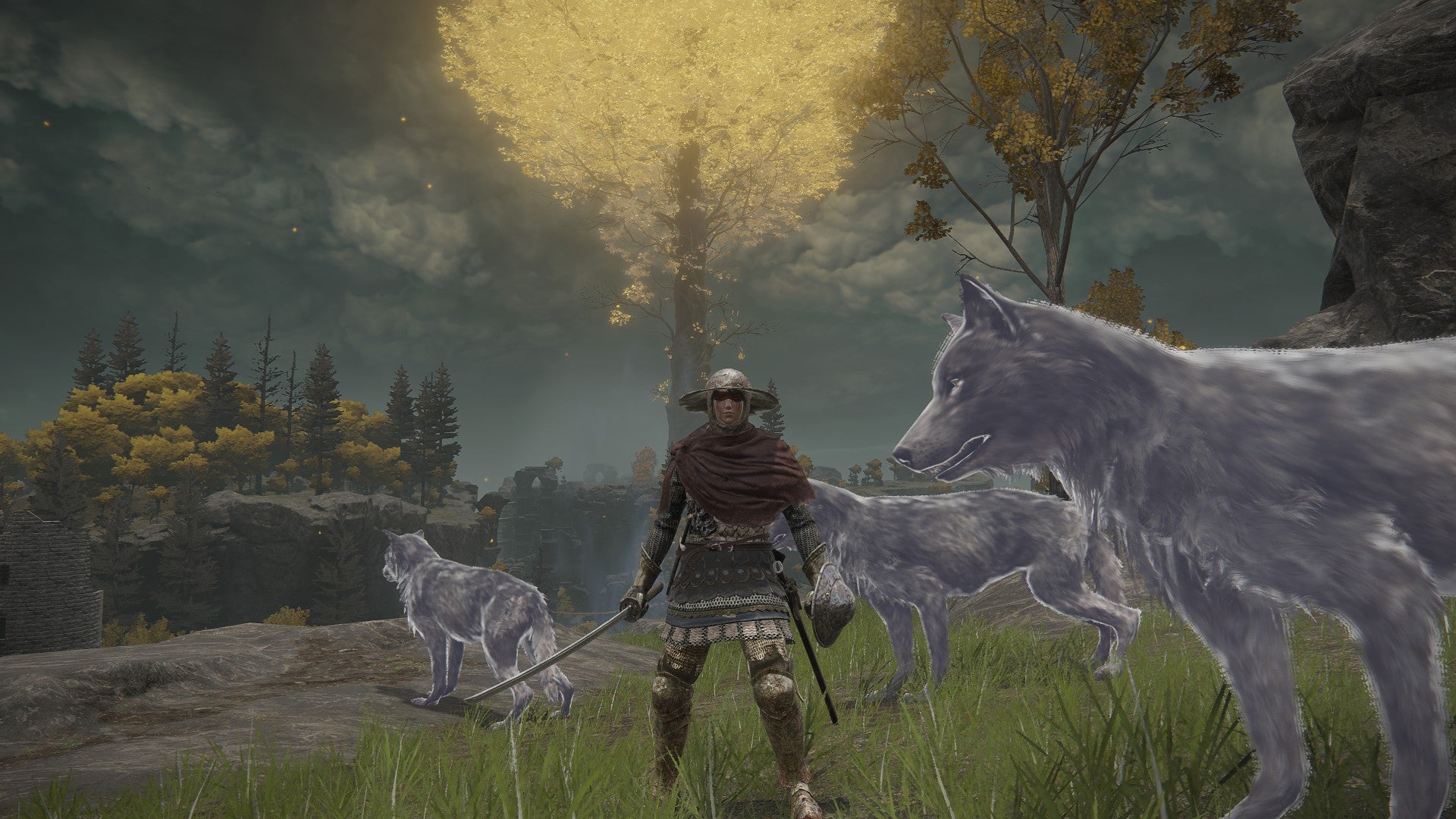 There s no such thing as an Elden Ring cheese - 67