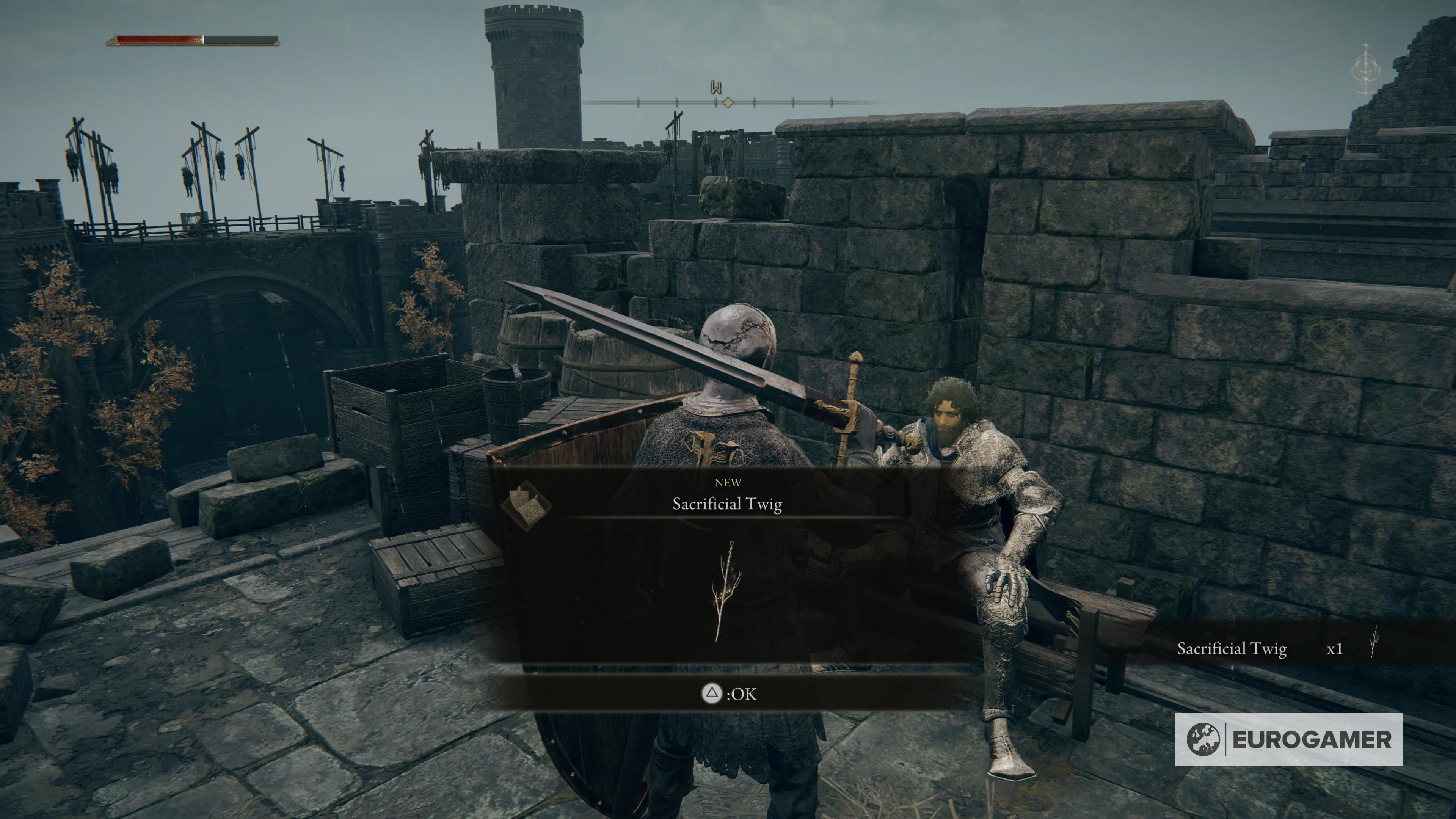 Elden Ring Irina quest  Castle Morne location and how to deliver the letter to father Edgar - 33
